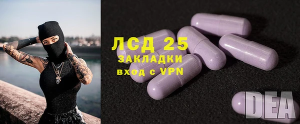 прущие грибы Медногорск