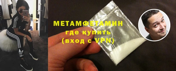 прущие грибы Медногорск