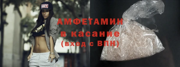 прущие грибы Медногорск