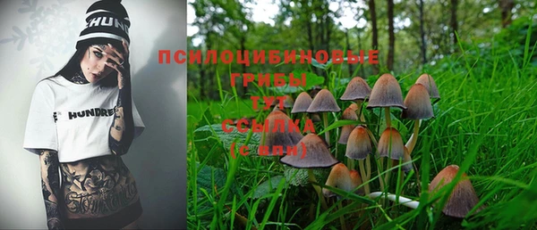 Альфа ПВП Мегион