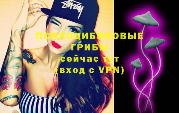 прущие грибы Медногорск