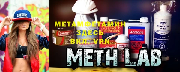 прущие грибы Медногорск